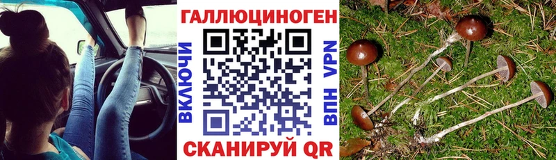Галлюциногенные грибы GOLDEN TEACHER  Спасск 